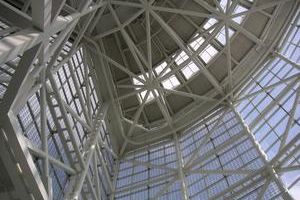 Enmeshed by wstaylor