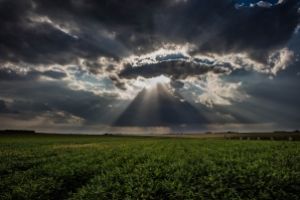 Thumbnail of featured artwork by members: Rays