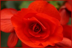Thumbnail of featured artwork by members: 65