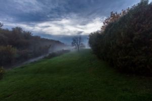 Thumbnail of featured artwork by members: Rogers Creek
