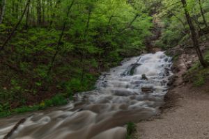 Thumbnail of featured artwork by members: Dunning´s Springs, May 19, 2019