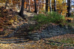 Thumbnail of featured artwork by members: Park Steps
