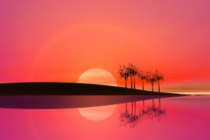 Thumbnail of featured artwork by members: Palm