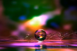 Thumbnail of featured artwork by members: macro