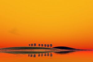 Thumbnail of featured artwork by members: DC