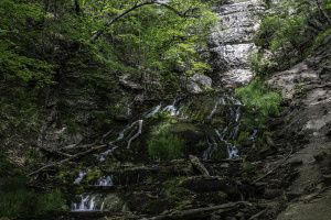 Thumbnail of featured artwork by members: Dunning´s Springs 2